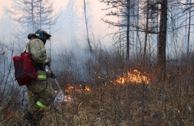 С 30 апреля по 10 мая на территории Новосибирской области установлен особый противопожарный режим