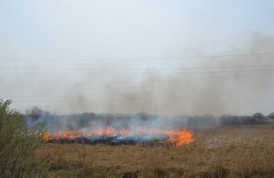 Мониторинг пожарной безопасности