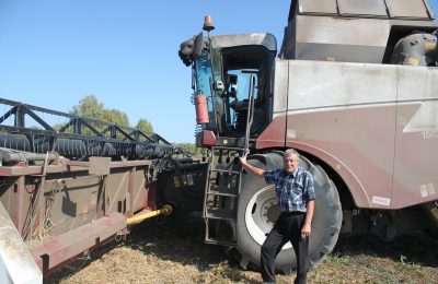 Золото осени – в закрома. В Маслянинском районе – уборочная