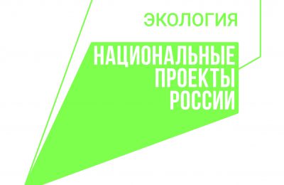 Почти 2,5 тонн семян лесных растений заготовят в этом году по нацпроекту