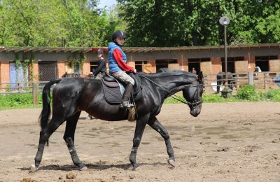 Школа верховой езды в Маслянинском районе