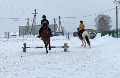 Первые победы маслянинских любителей конного спорта