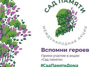 «Сад памяти» в Новосибирской области пополнится ещё 160 тысячами деревьев