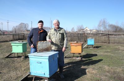 Медовая посылка раненым бойцам от пчеловодов Маслянинского района