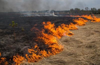 Пожароопасный сезон в Новосибирской области начался с 15 апреля