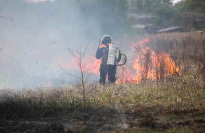 355 человек оштрафованы за нарушение пожарной безопасности в регионе