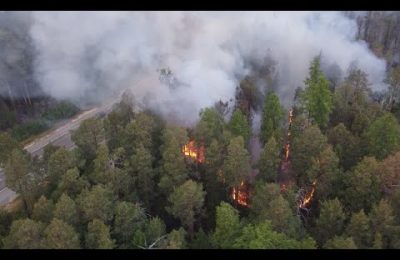 Новосибирские лесные пожарные отправились на помощь соседнему региону