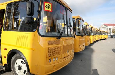 55 новых школьных автобусов получит Новосибирская область