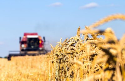 Аграрии Новосибирской области намолотили первый миллион тонн зерна