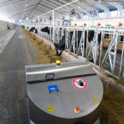 Опыт использования молочными хозяйствами двух районов роботов-дояров изучат в масштабах всей области