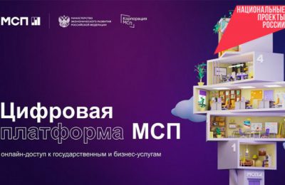Онлайн-услуги и меры поддержки для предпринимателей Новосибирской области обновили на платформе МСП.РФ