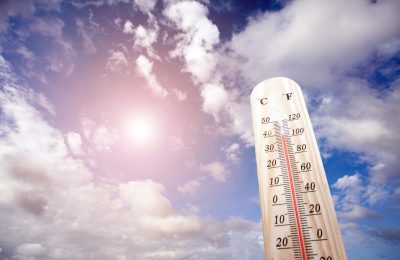 В Новосибирской области прогнозируют жару до +41 градуса. С 11 июля в регионе действует режим чрезвычайной ситуации