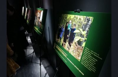 В новосибирском Историческом парке к Дню Героев Отечества открыли выставку, посвящённую родным бойцов СВО