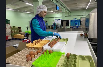 Отечественное оборудование позволит увеличить производство яиц в регионе