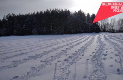 Лесоводы региона полностью подготовились к проведению лесовосстановительных мероприятий по нацпроекту в 2024 году