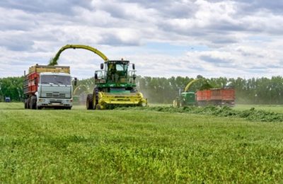 В районе завершилась посевная кампания