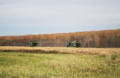 Более 30% от запланированного объема господдержки уже получили аграрии региона в этом году