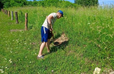 В самом разгаре летняя трудовая практика в школах района