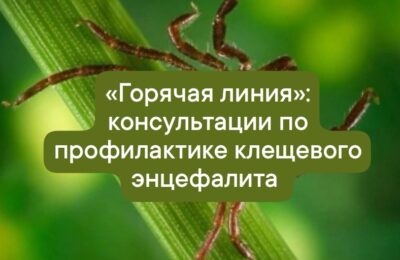 Жителей региона проконсультируют по вопросам профилактики клещевого энцефалита на «горячей линии»