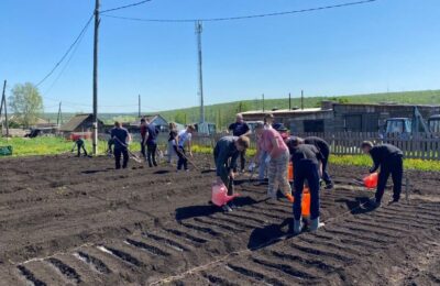 В Никоновской школе учащиеся совместно с учителями и работниками школы посадили школьный огород