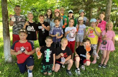 Милые котики в Дубровской школе