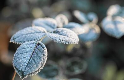 В Новосибирске синоптики назвали аномальный сентябрь с –7 ℃ мороза