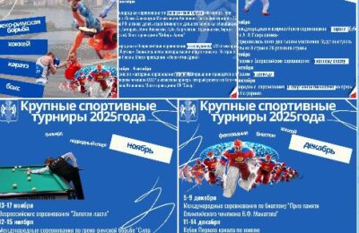 Более десяти международных и всероссийских спортивных турниров примет Новосибирская область до конца года