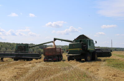 Мощный снегопад, обрушившийся на Новосибирскую область 9 октября, остановил завершающий этап уборочной кампании