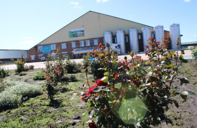 Сегодня в России отмечается День работника сельского хозяйства и перерабатывающей промышленности