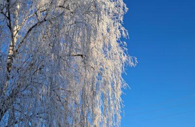 Опубликованы даты первых аномальных морозов до –30-40 °C