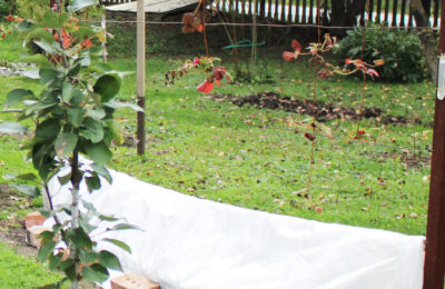 Лунный календарь на октябрь-2025 для садоводов и огородников области подготовлен в Новосибирске