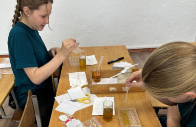 От исследований к реальным решениям: как школьники исследуют будущее агротехнологий