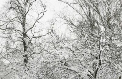 Сильные морозы придут в Новосибирскую область к выходным