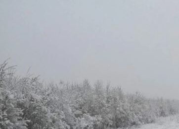 В области на выходных ожидаются снег, гололёд и усиление ветра