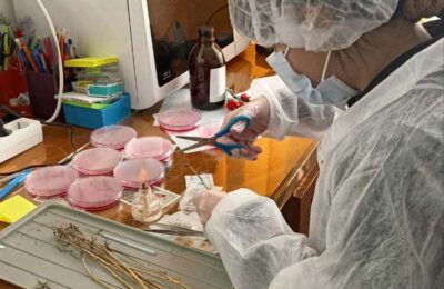 Мир юных ученых в Точке роста