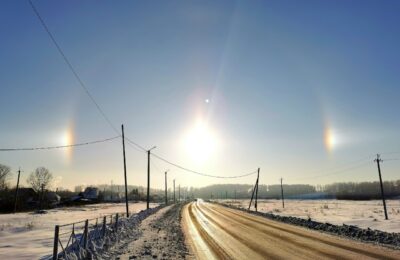 Утильсбор и цифровой паспорт: о новациях декабря-2025 рассказали новосибирцам