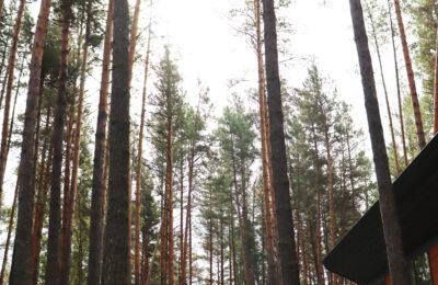 Кто выходит на пенсию в 2026 году?