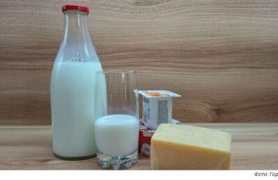 ФАС проверит цены на молочные продукты