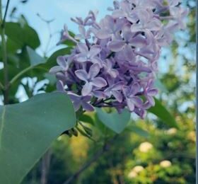 Майские праздники-2026: как отдыхаем и когда выгодно взять отпуск